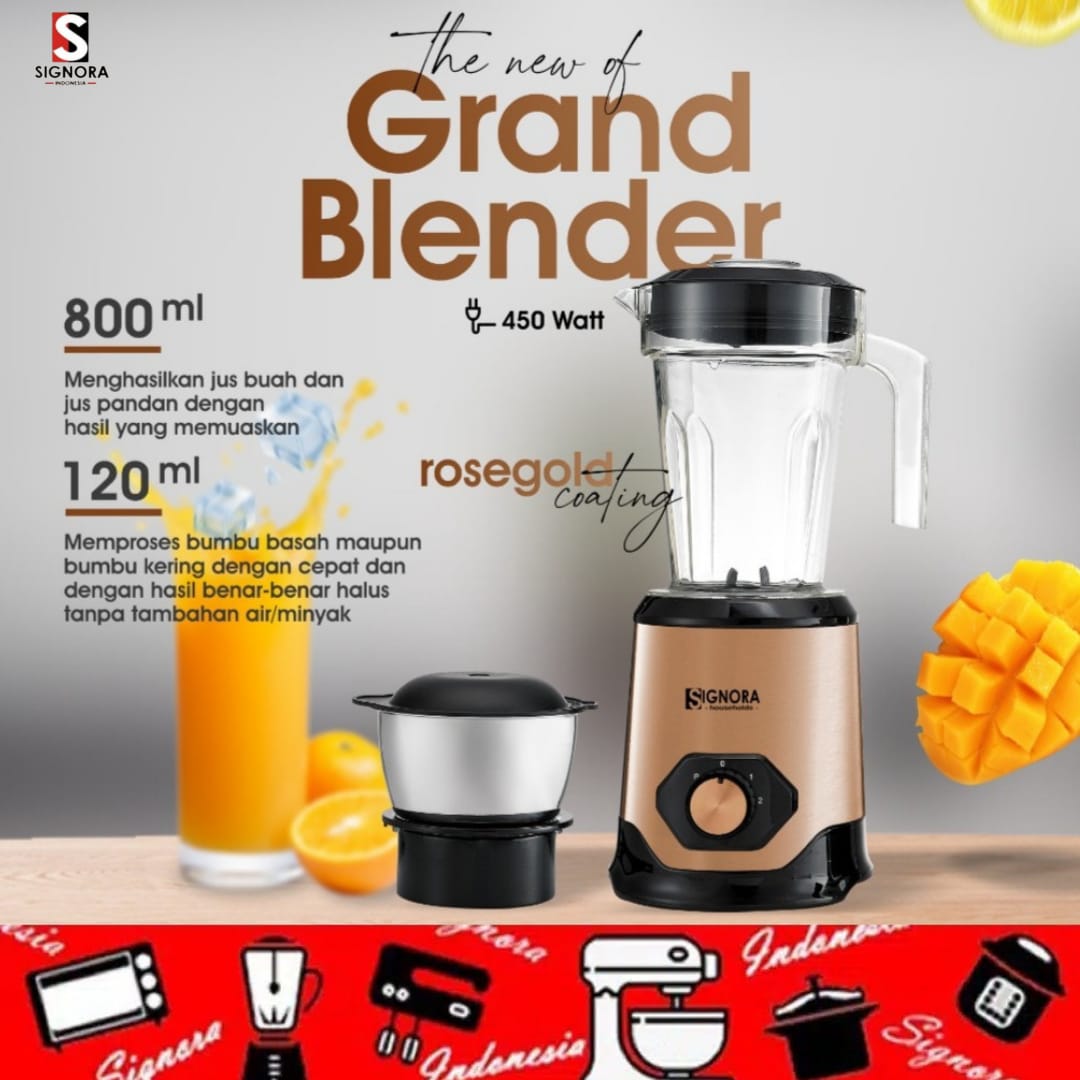 SIGNORA GRAND BLENDER - Hiro Electronics